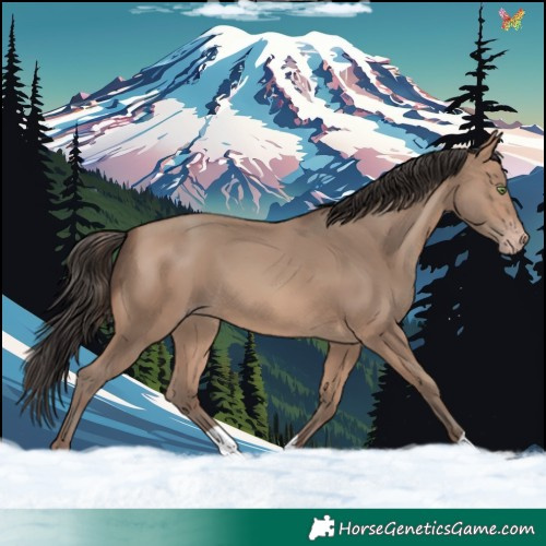 Horse Color:Sable Champagne 