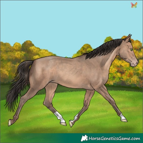 Horse Color:Sable Champagne 