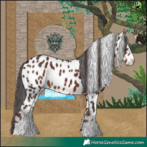 Horse Color:White Spotted Liver Chestnut Near Leopard 