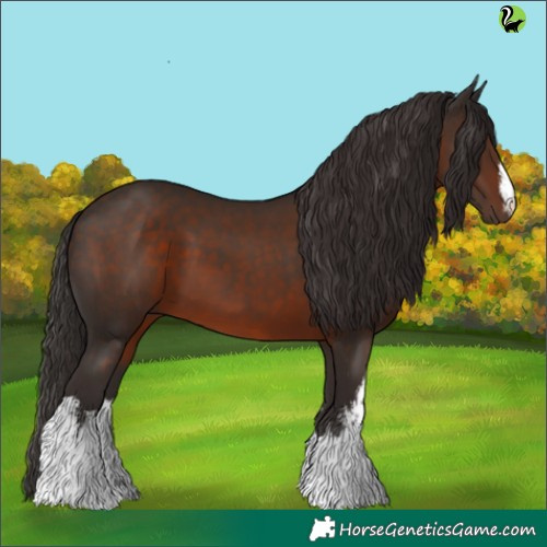 Horse Color:White Spotted Liver Chestnut 