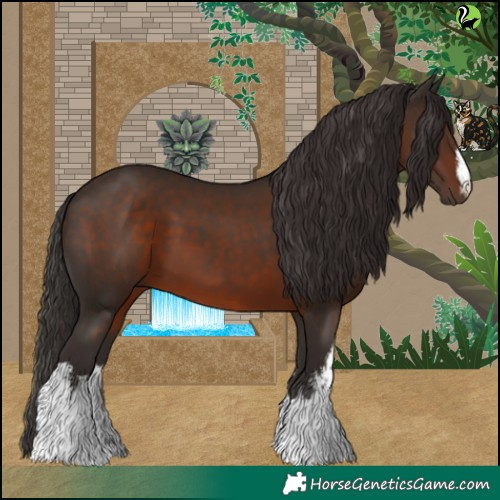 Horse Color:White Spotted Liver Chestnut 