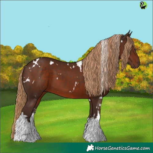 Horse Color:White Spotted Liver Chestnut 