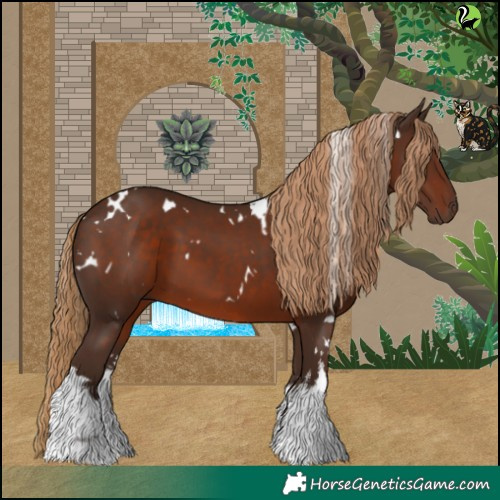 Horse Color:White Spotted Liver Chestnut 