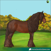 Horse Color:White Spotted Liver Chestnut 