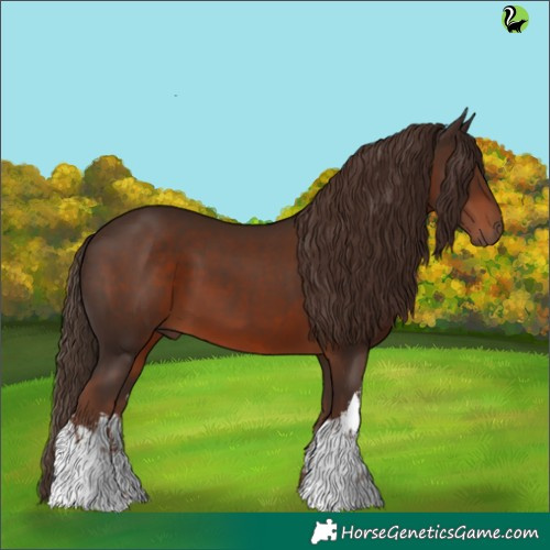 Horse Color:White Spotted Liver Chestnut 