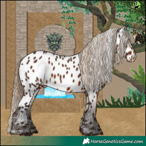 Horse Color:White Spotted Liver Chestnut Near Leopard 