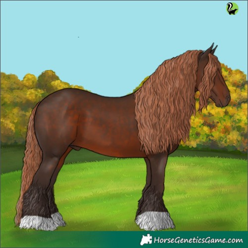 Horse Color:Liver Chestnut 