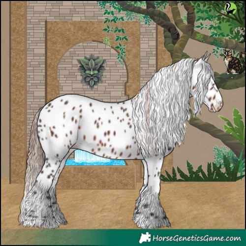Horse Color:Liver Chestnut Leopard 