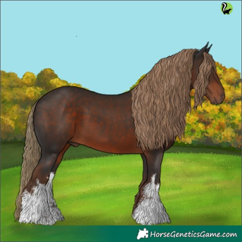 Horse Color:White Spotted Liver Chestnut 