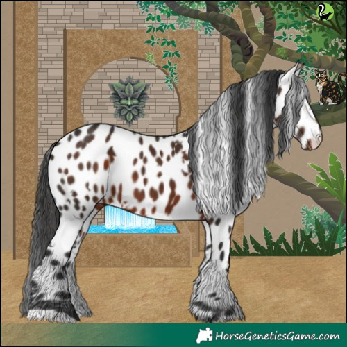 Horse Color:White Spotted Liver Chestnut Near Leopard 