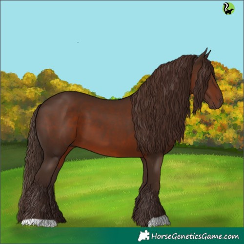 Horse Color:Liver Chestnut 