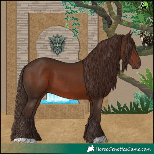Horse Color:Liver Chestnut 