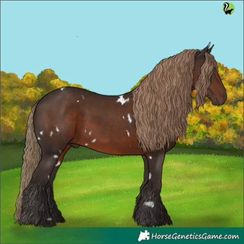 Horse Color:White Spotted Liver Chestnut 