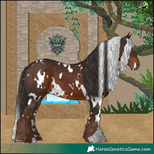 Horse Color:White Spotted Liver Chestnut 
