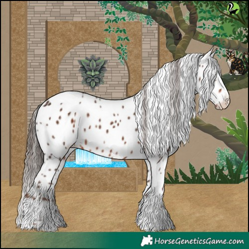 Horse Color:Liver Chestnut Leopard 