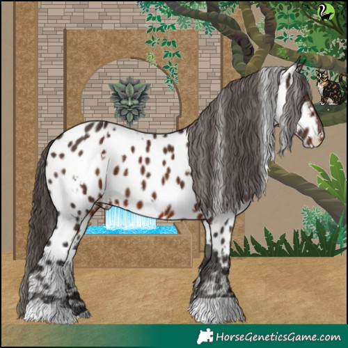 Horse Color:White Spotted Liver Chestnut Near Leopard 