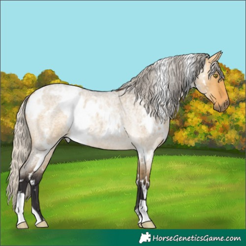 Horse Color:White Spotted Silver Buckskin Roan Dun Rabicano