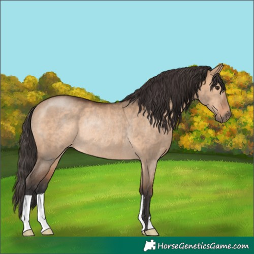 Horse Color:Bay Dun Rabicano 