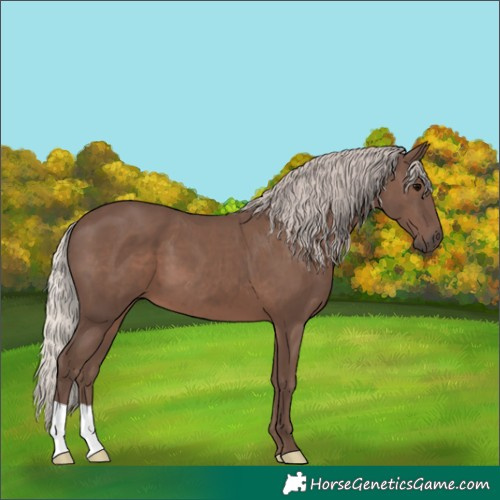 Horse Color:Silver Black