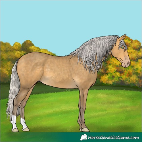 Horse Color:Silver Sable Cream Champagne