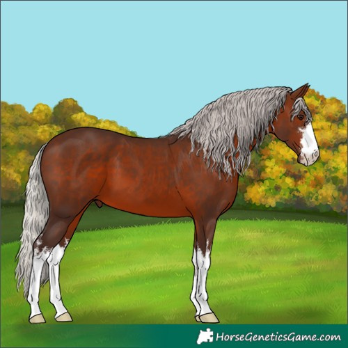 Horse Color:White Spotted Silver Brown