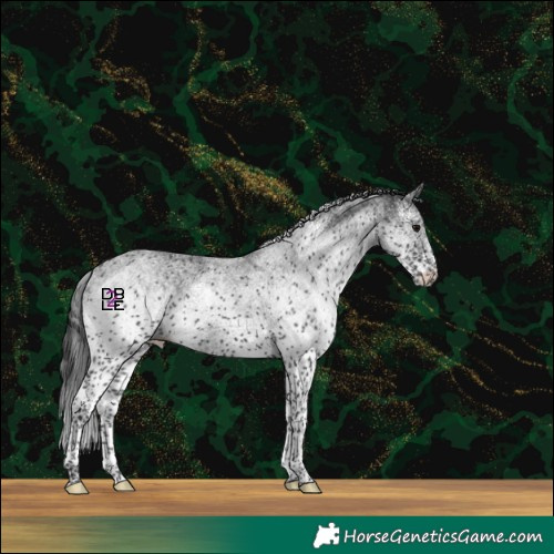 Horse Color:White Spotted Black 