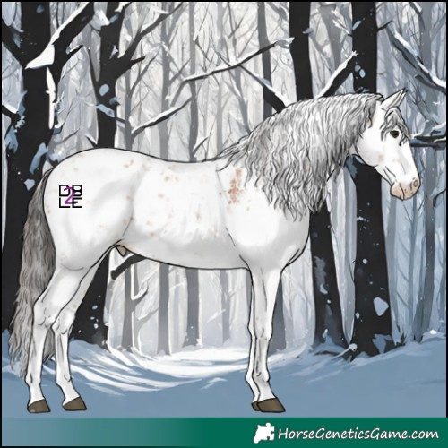 Horse Color:Bay Sabino 