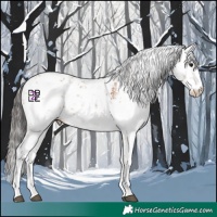 Horse Color:Bay Sabino 