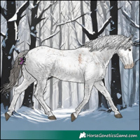 Horse Color:Bay Sabino