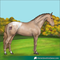 Horse Color:Black Pearl Varnish