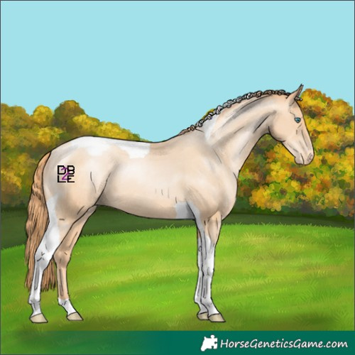 Horse Color:Classic Champagne Pearl Tobiano Appaloosa