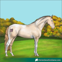 Horse Color:Classic Champagne Pearl Tobiano Appaloosa 
