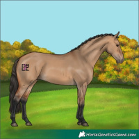 Horse Color:Bay Dun