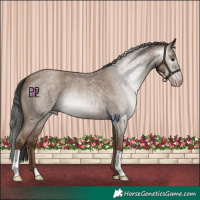 Horse Color:Gray Classic Champagne Roan 
