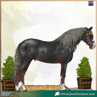 Horse Color:Liver Chestnut Mushroom 
