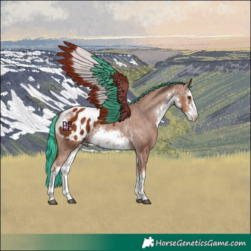 Horse Color:Painted White Spotted Chestnut Appaloosa 