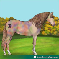 Horse Color:Nacre Red Dun