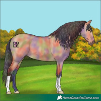 Horse Color:Nacre Bay Dun