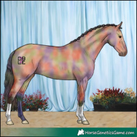 Horse Color:Nacre Bay Dun 