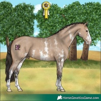 Horse Color:Bay Dun Sabino