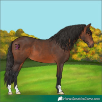 Horse Color:Brown 