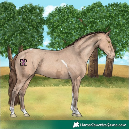 Horse Color:Amber Champagne Ice Tobiano Appaloosa 