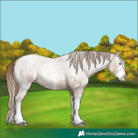 Horse Color:Liver Red Roan Pearl Sabino Splash