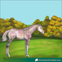Horse Color:Plaid Silver Brown Ice Onyx