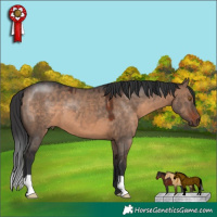 Horse Color:Brown Dun
