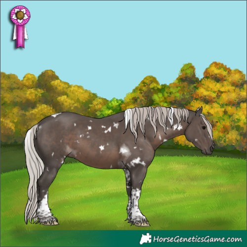 Horse Color:White Spotted Silver Black Tobiano 
