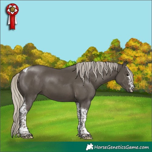 Horse Color:Silver Smoky Black Tobiano 