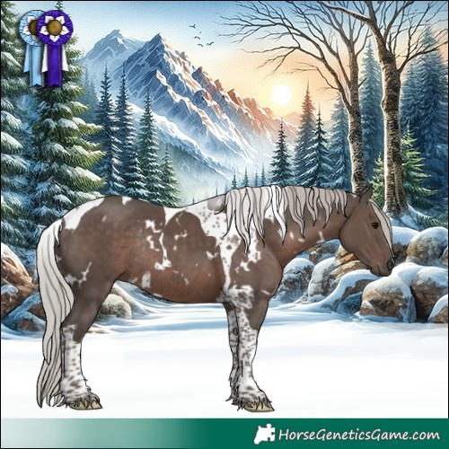 Horse Color:White Spotted Silver Black Tobiano Rabicano 