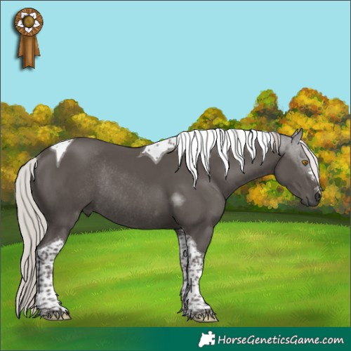 Horse Color:Silver Black Tobiano Rabicano 