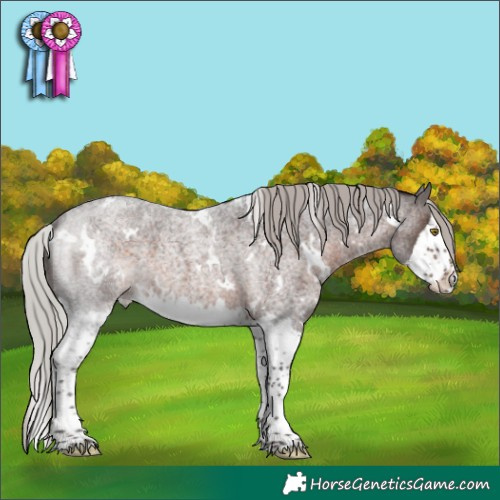 Horse Color:White Spotted Silver Brown Roan Splash 